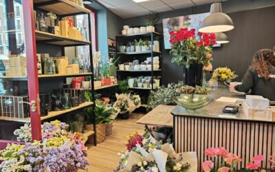 REDE DE GARDENS VERDECORA ABRE SUA 6a FLORICULTURA